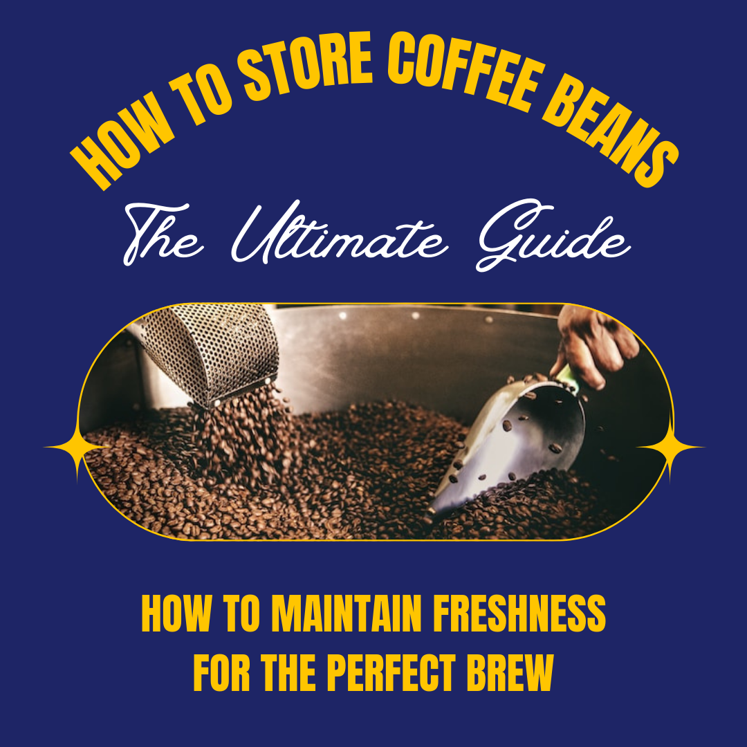 The Ultimate Guide to Storing Coffee Beans: How to Maintain Freshness for the Perfect Brew