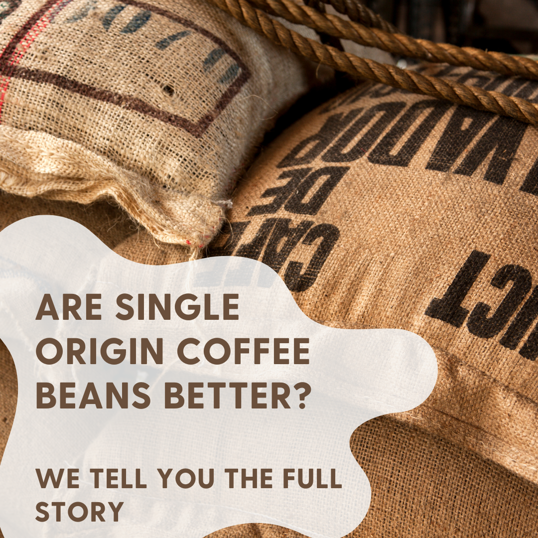 Are Single Origin Coffee Beans Better? We Tell You The Full Story