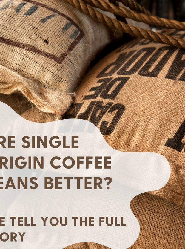 Are Single Origin Coffee Beans Better? We Tell You The Full Story