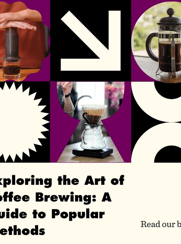 Exploring the Art of Coffee Brewing: A Guide to Popular Methods