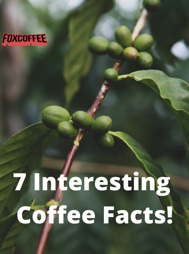 7 Interesting Coffee Facts!