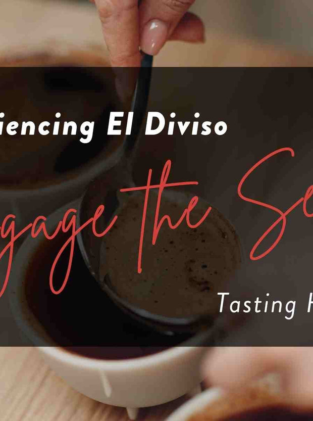 Enhance your El Diviso Coffee Flight experience