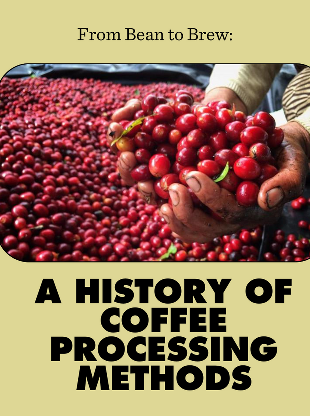 From Bean to Brew: A History Of Coffee Processing Methods