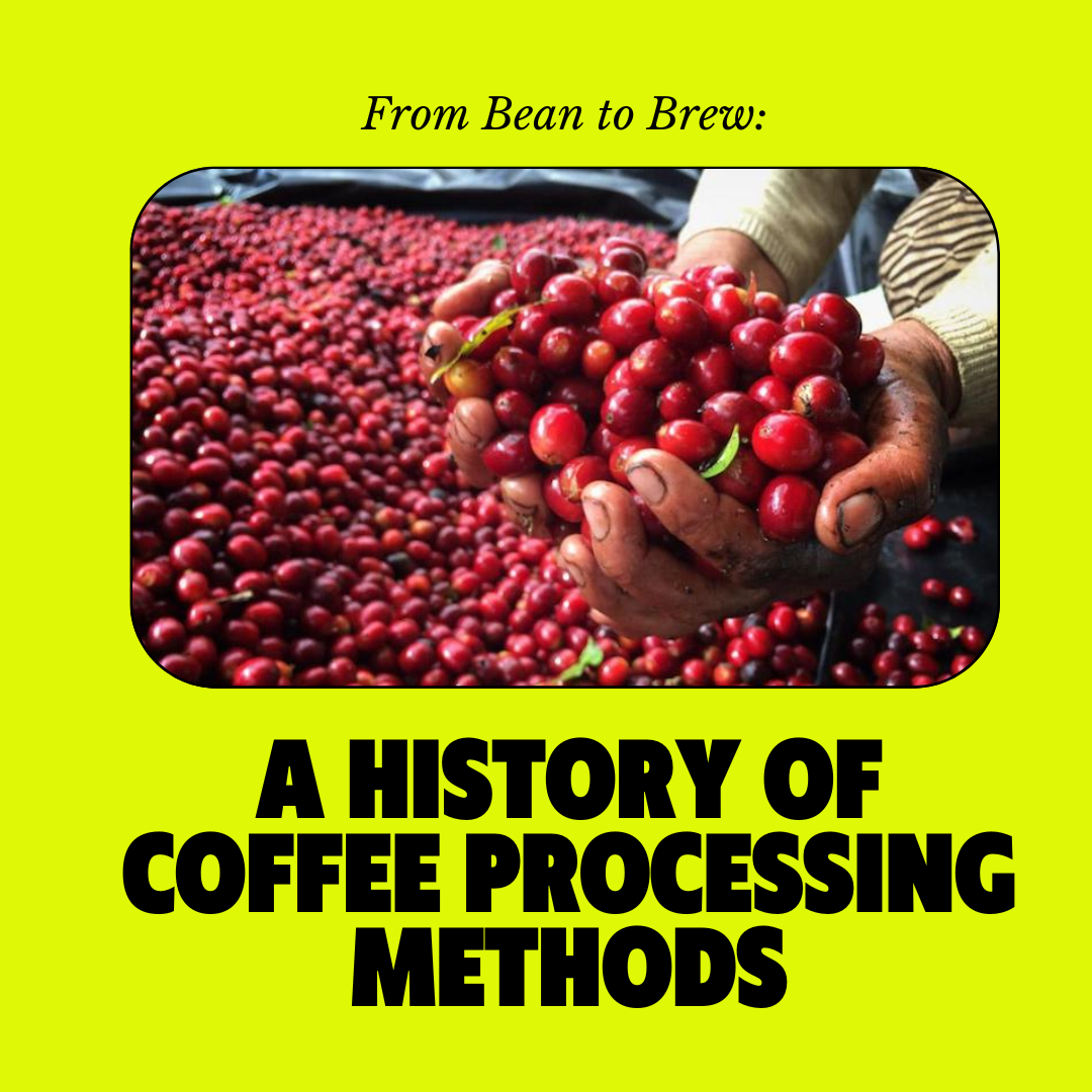 From Bean to Brew: A History Of Coffee Processing Methods