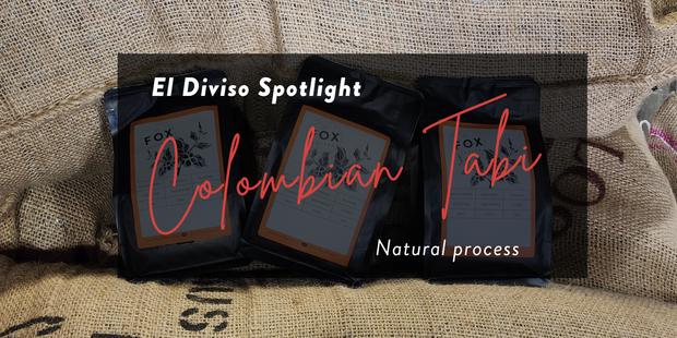El Diviso Coffee Flight Trio: Tabi Natural