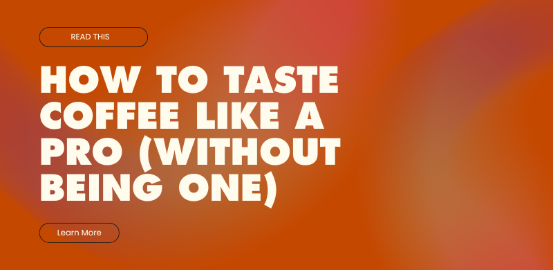 How to Taste Coffee Like a Pro (Without Being One)
