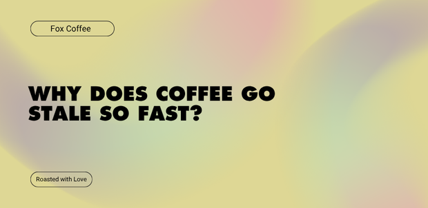 Why does coffee go stale so fast?