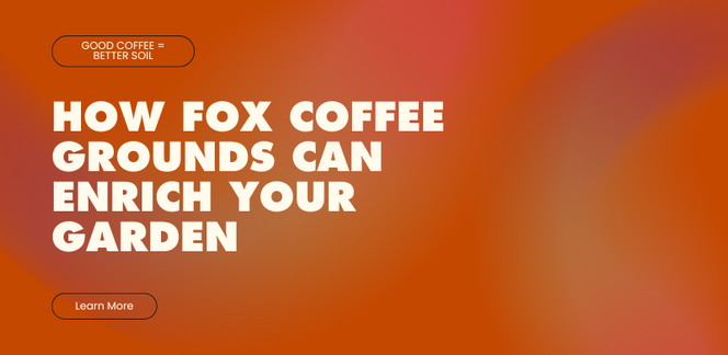 How Coffee Grounds Can Enrich Your Garden