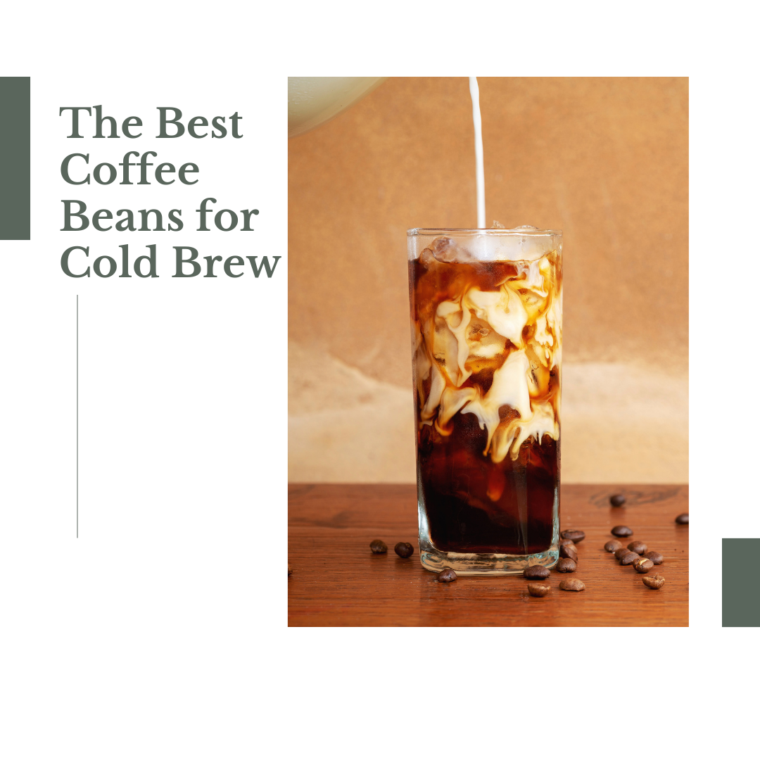 Best coffee beans for cold brew deals