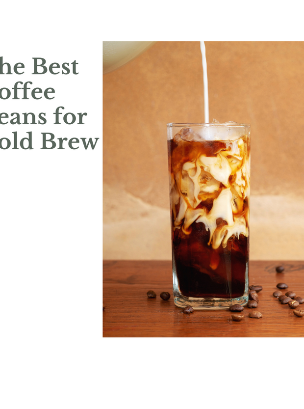 The Best Coffee Beans for Cold Brew