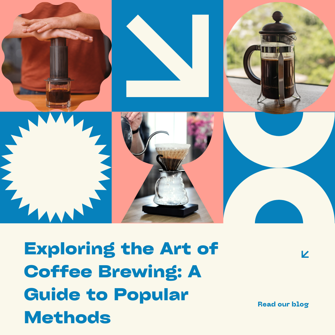 Exploring the Art of Coffee Brewing: A Guide to Popular Methods