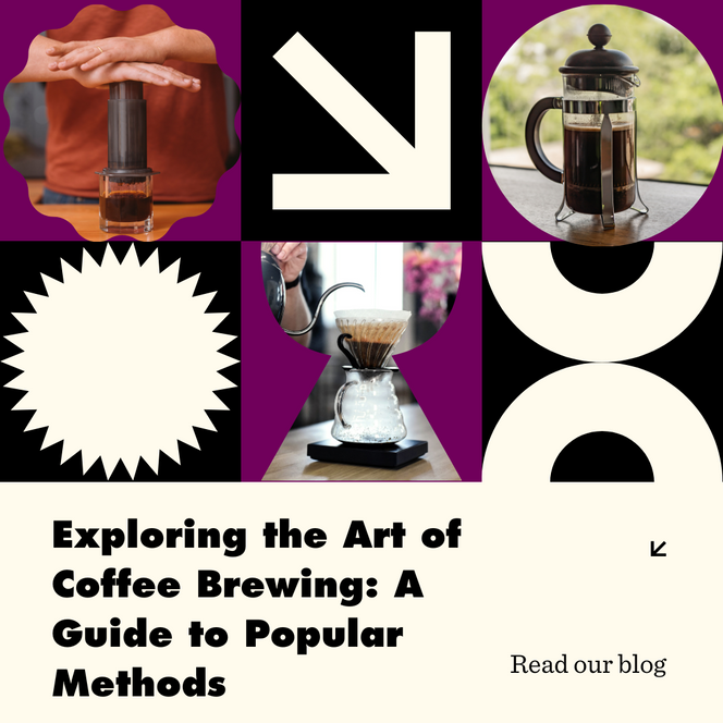 Exploring the Art of Coffee Brewing: A Guide to Popular Methods