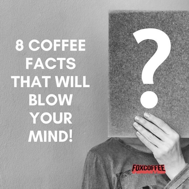 8 Coffee Facts That Will Blow Your Mind!