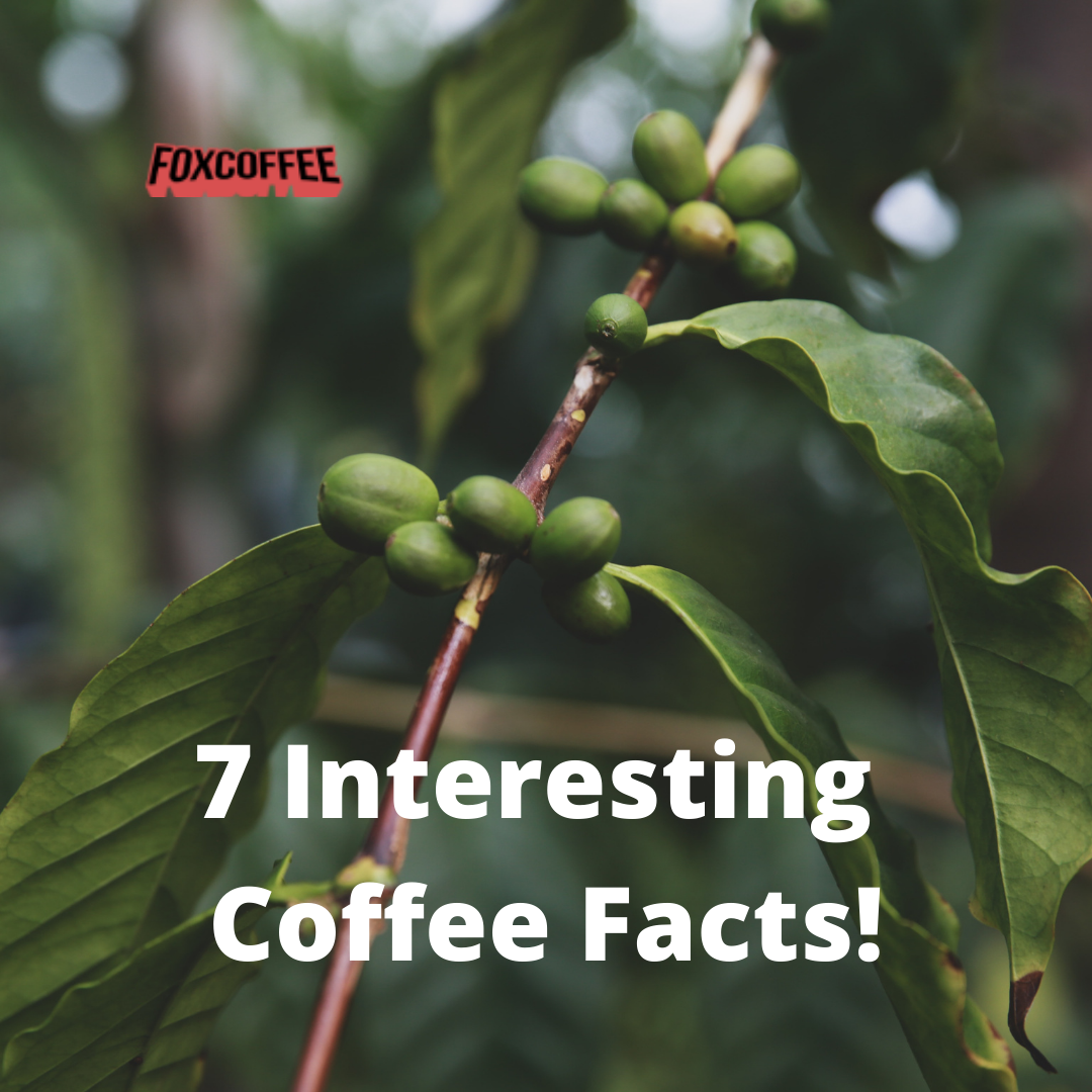 7 Interesting Coffee Facts! Fox Coffee