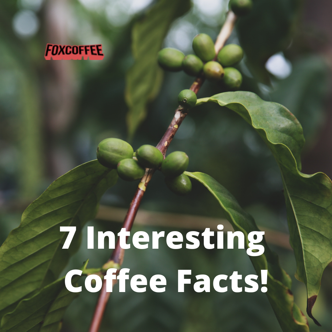 7 Interesting Coffee Facts!