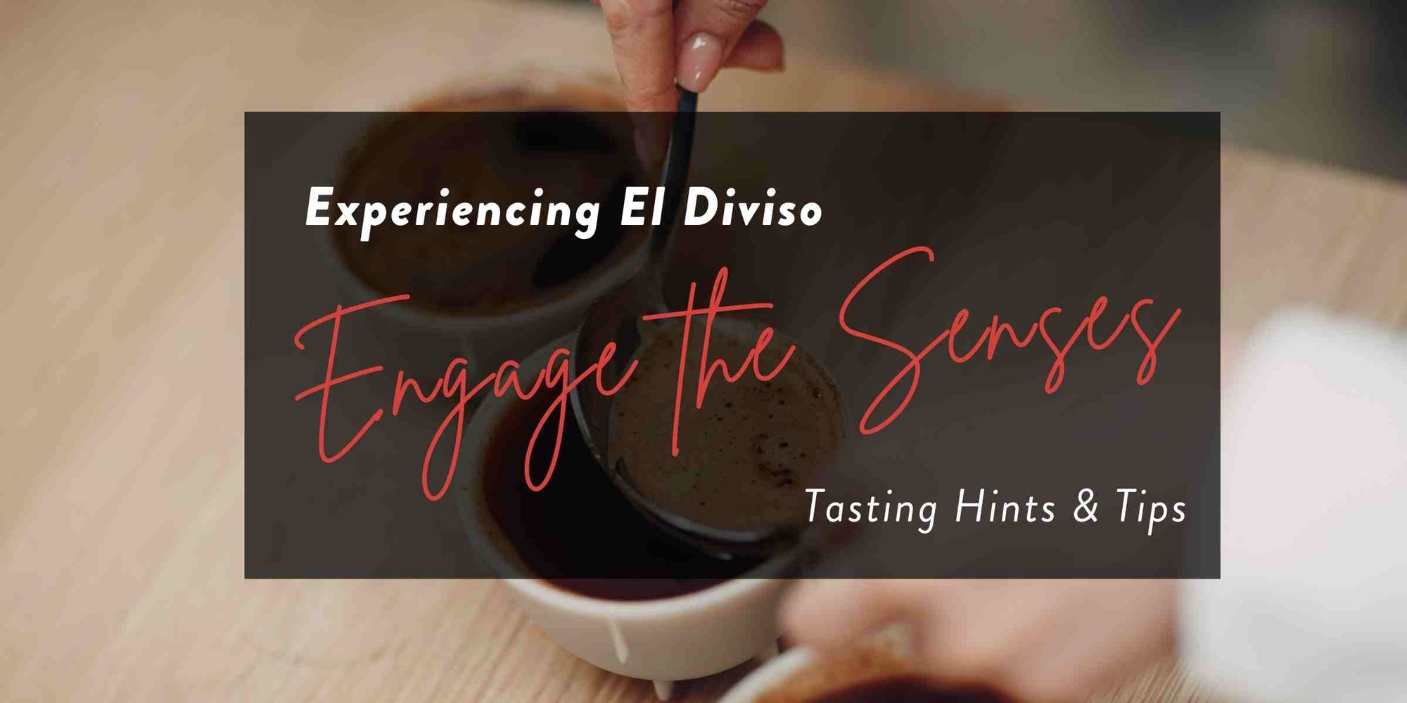 Enhance your El Diviso Coffee Flight experience
