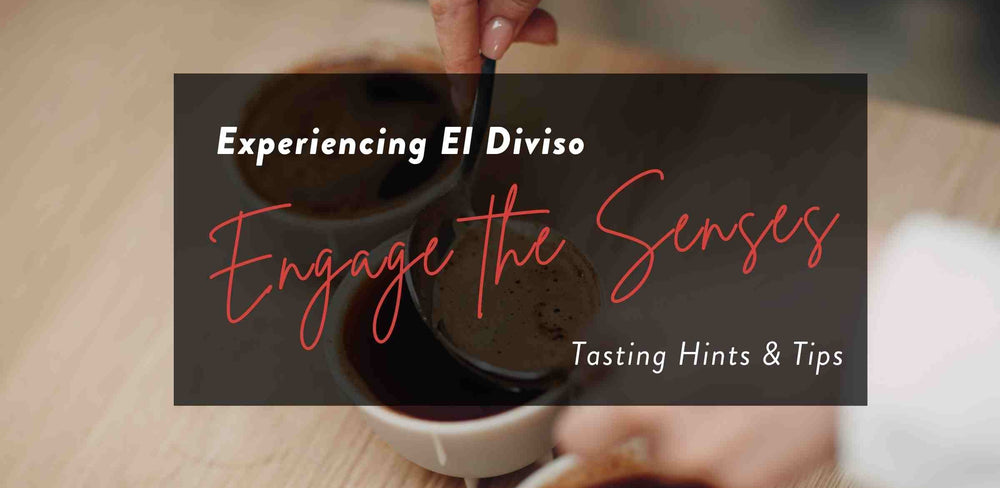 Enhance your El Diviso Coffee Flight experience