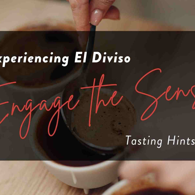 Enhance your El Diviso Coffee Flight experience