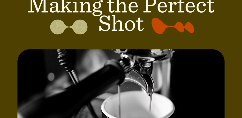 Espresso Basics: A Beginner's Guide to Making the Perfect Shot