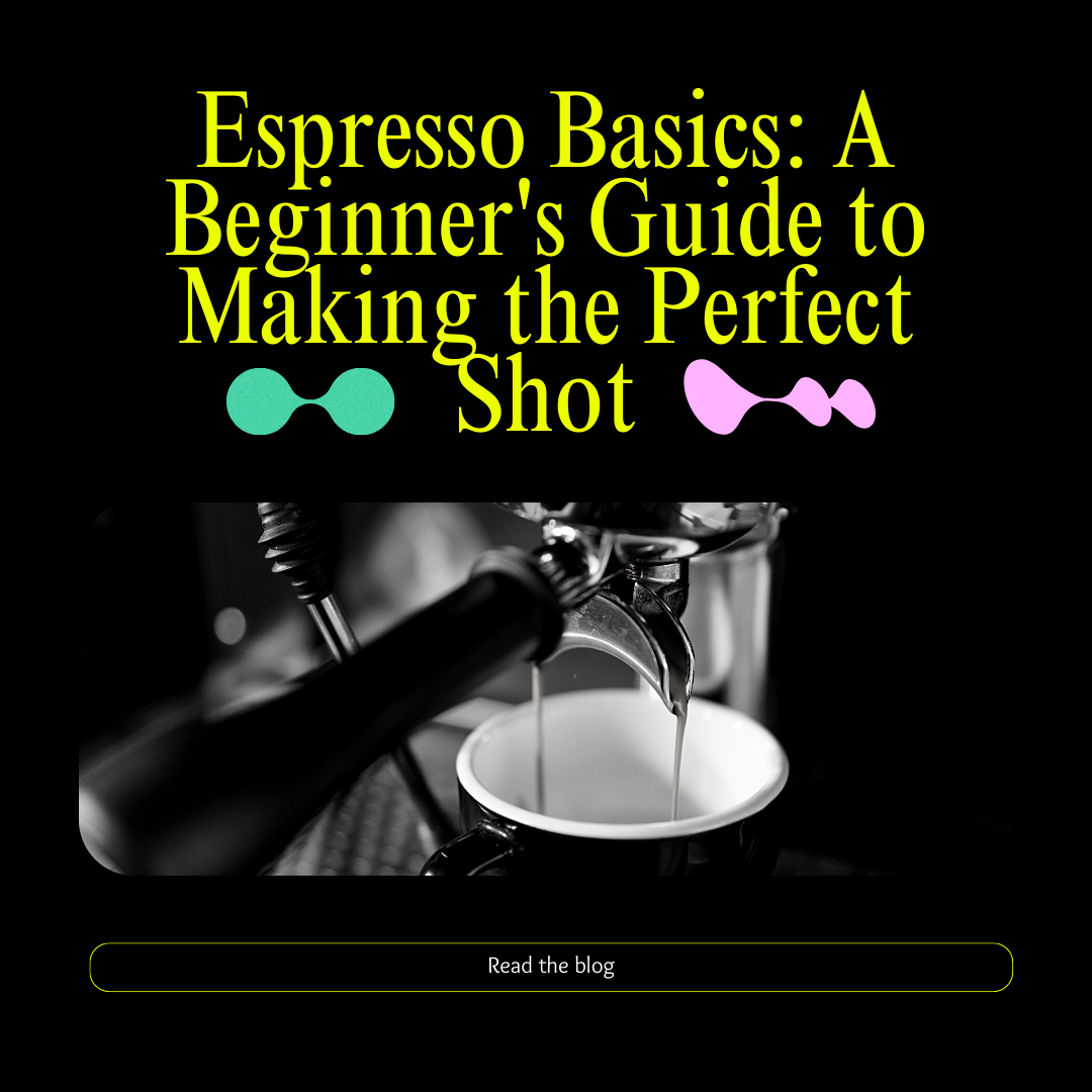 Espresso Basics: A Beginner's Guide to Making the Perfect Shot