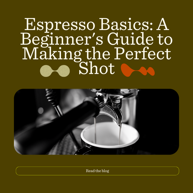 Espresso Basics: A Beginner's Guide to Making the Perfect Shot
