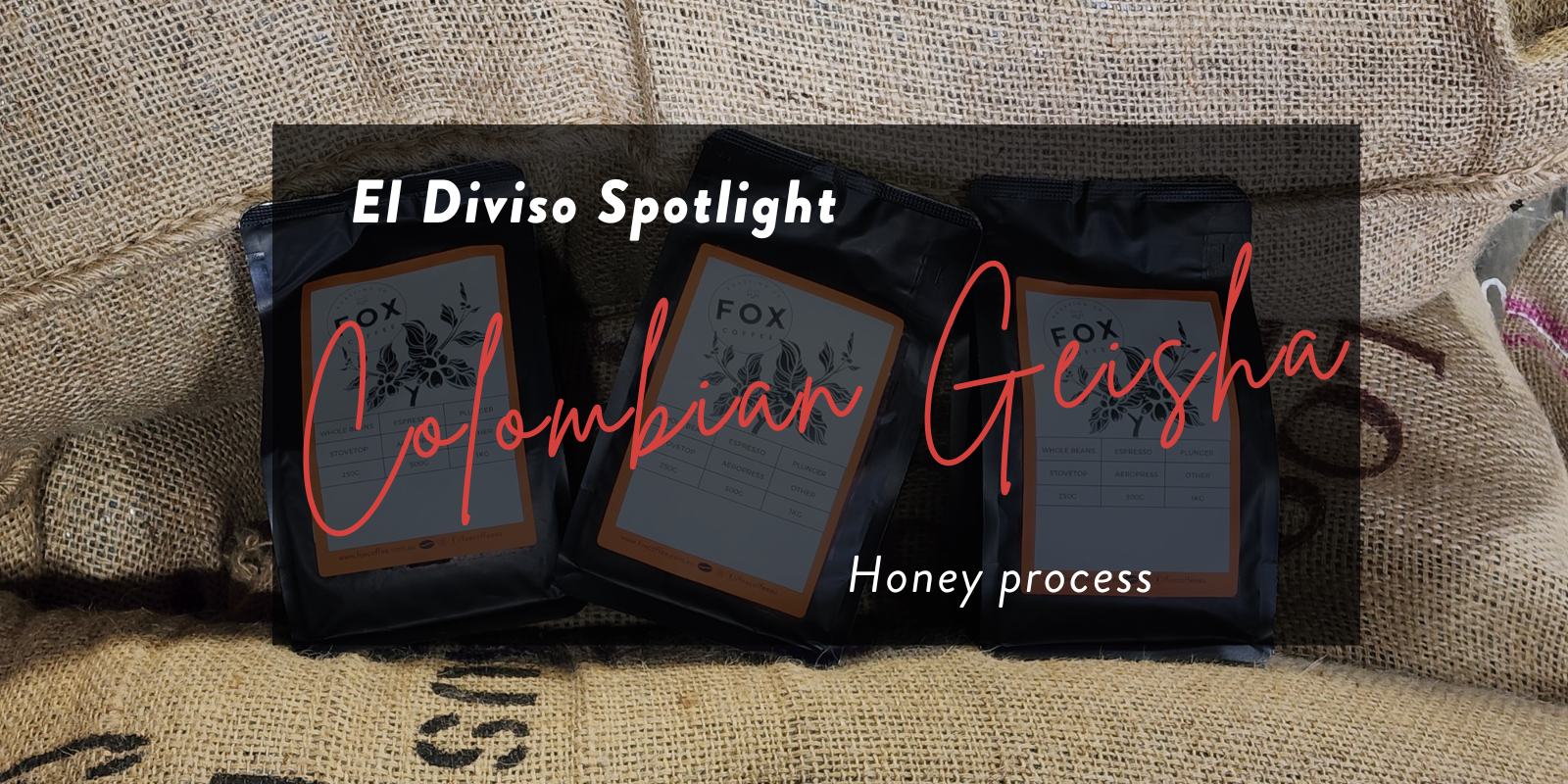 El Diviso Coffee Flight Trio: Geisha Honey