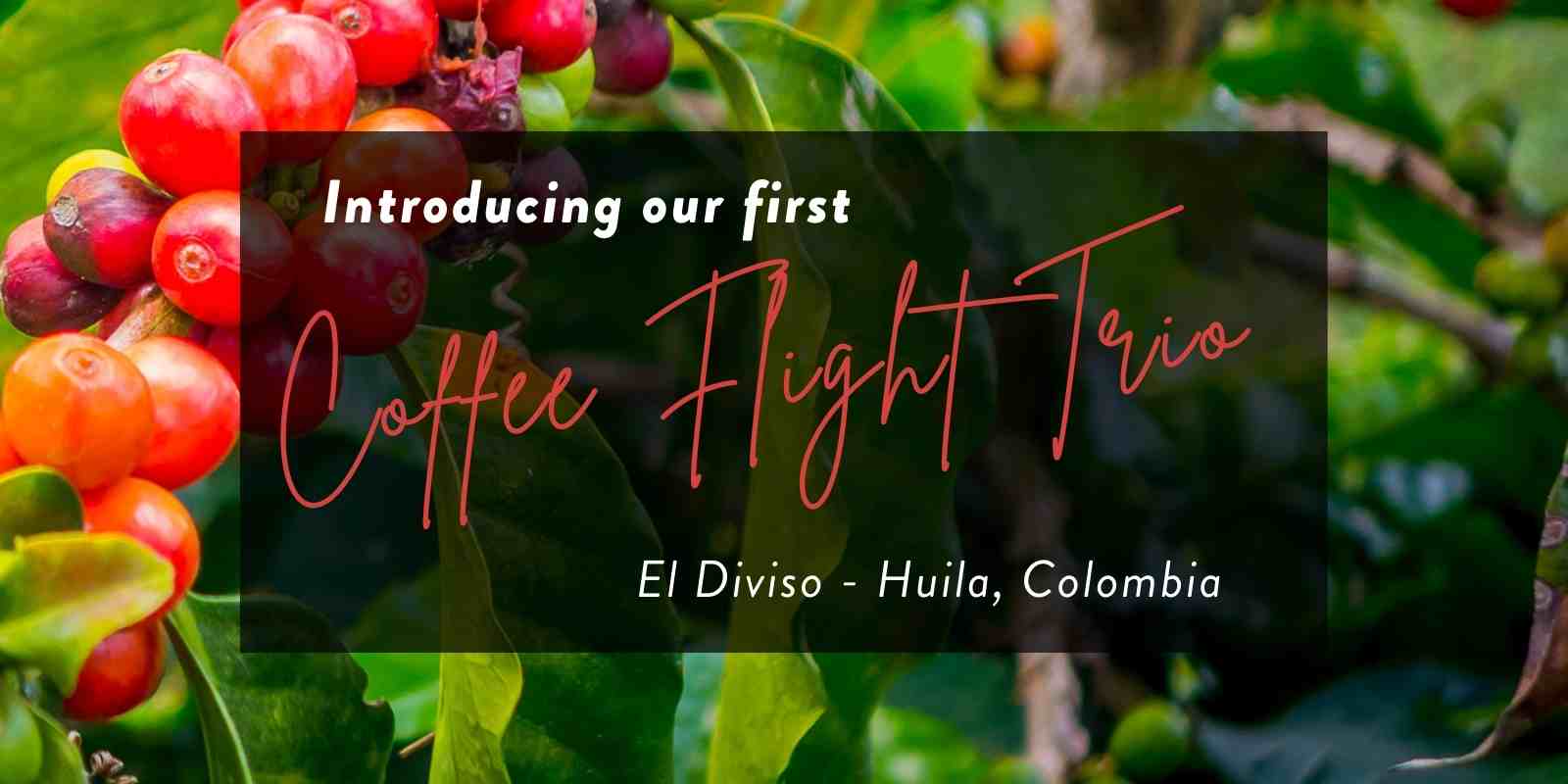 Local Brisbane Coffee Roastery brings tantalisingly rare Coffee Flight Trio from Colombia to Australian Coffee lovers.