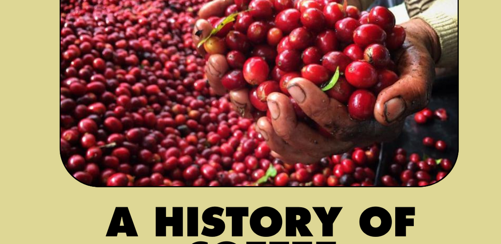 From Bean to Brew: A History Of Coffee Processing Methods