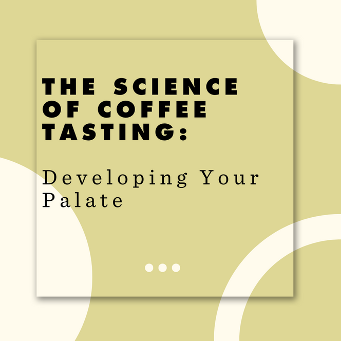 The Science of Coffee Tasting: Developing Your Palate