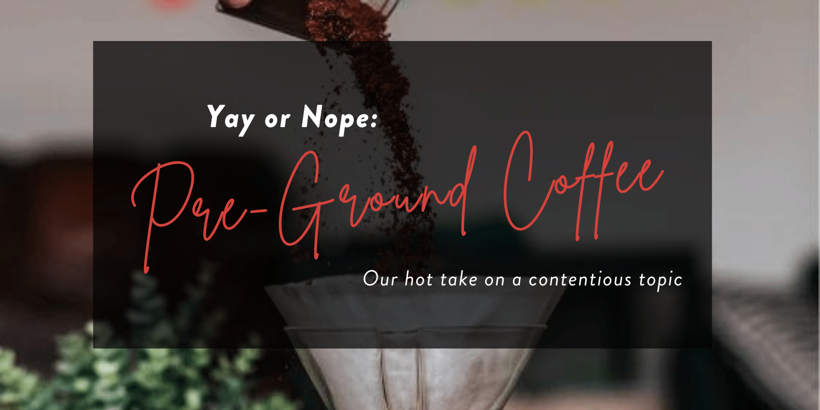 PreGround Coffee, Is it That Bad? Fox Coffee