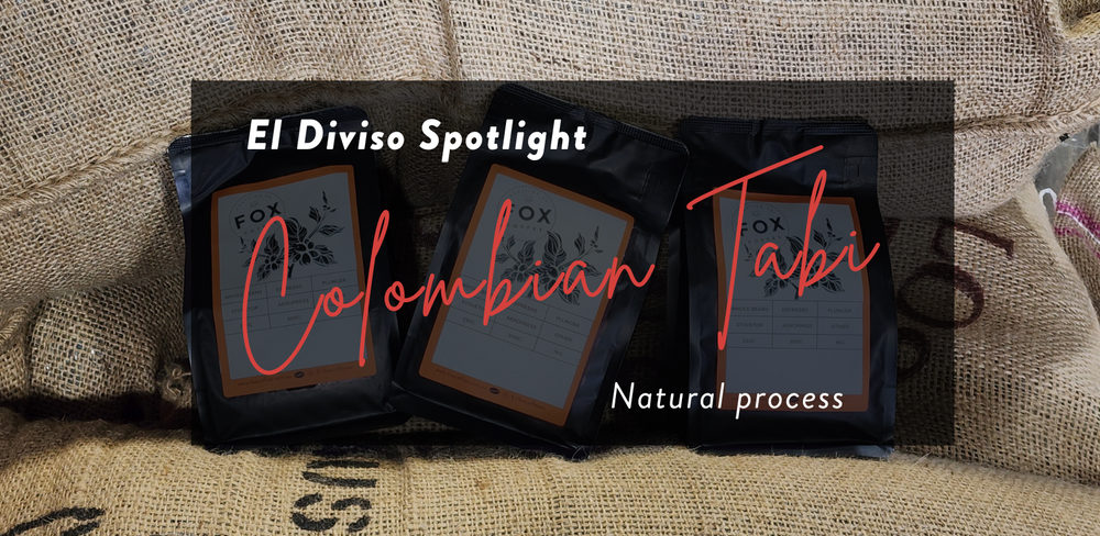 El Diviso Coffee Flight Trio: Tabi Natural