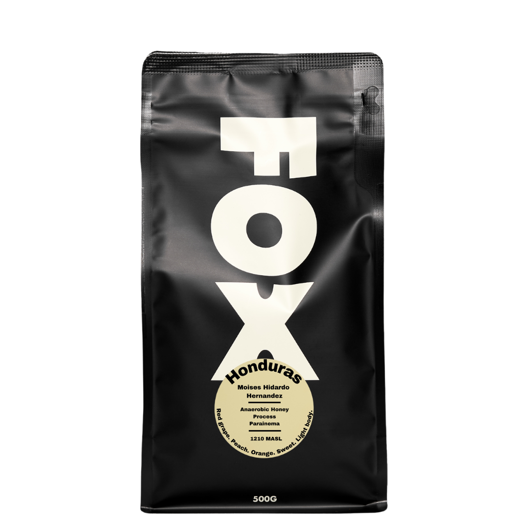 Honduras Moises Hidardo Hernandez (Filter Roast)