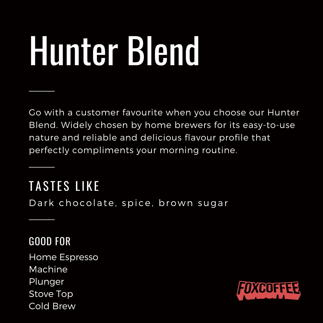 Hario Mizudashi Cold Brew Pot (Brown) 1 Ltr + Coffee Beans + Free Shipping